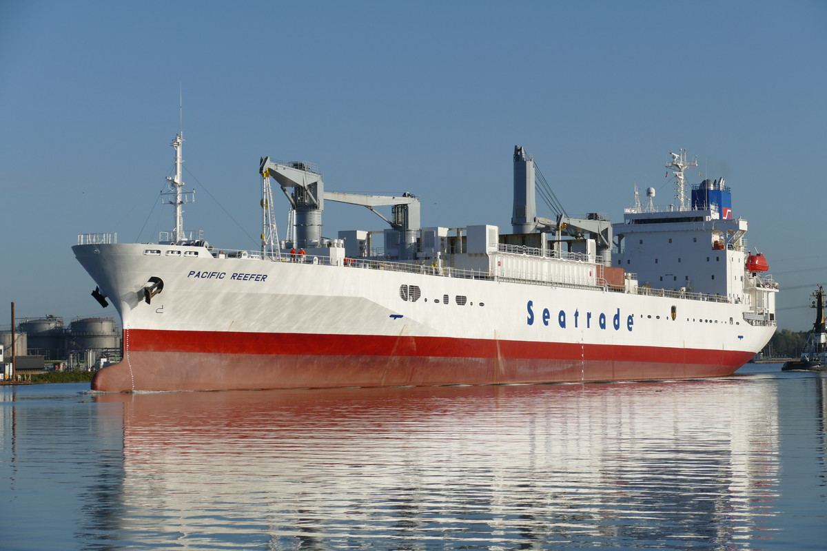 Pacific Reefer (OK-121022-0)