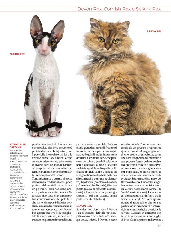 Ga Ma Apr-Mag 2022 (4)