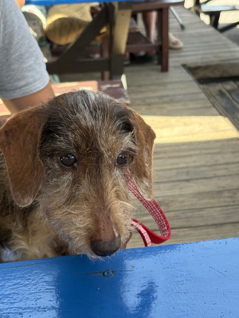 [Image: IMG-0528.jpg]