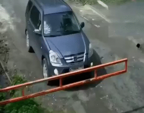 https://i.postimg.cc/L80mQ3qY/4.gif