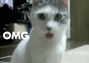 c22b62ab6413ee889cd6220b98cbb793.gif