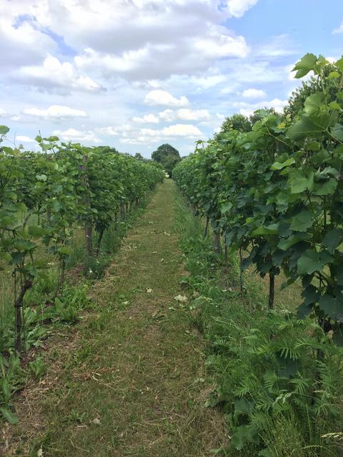 4FB8564C-16D2-46AF-ADC6-DFA7A29FEE0C