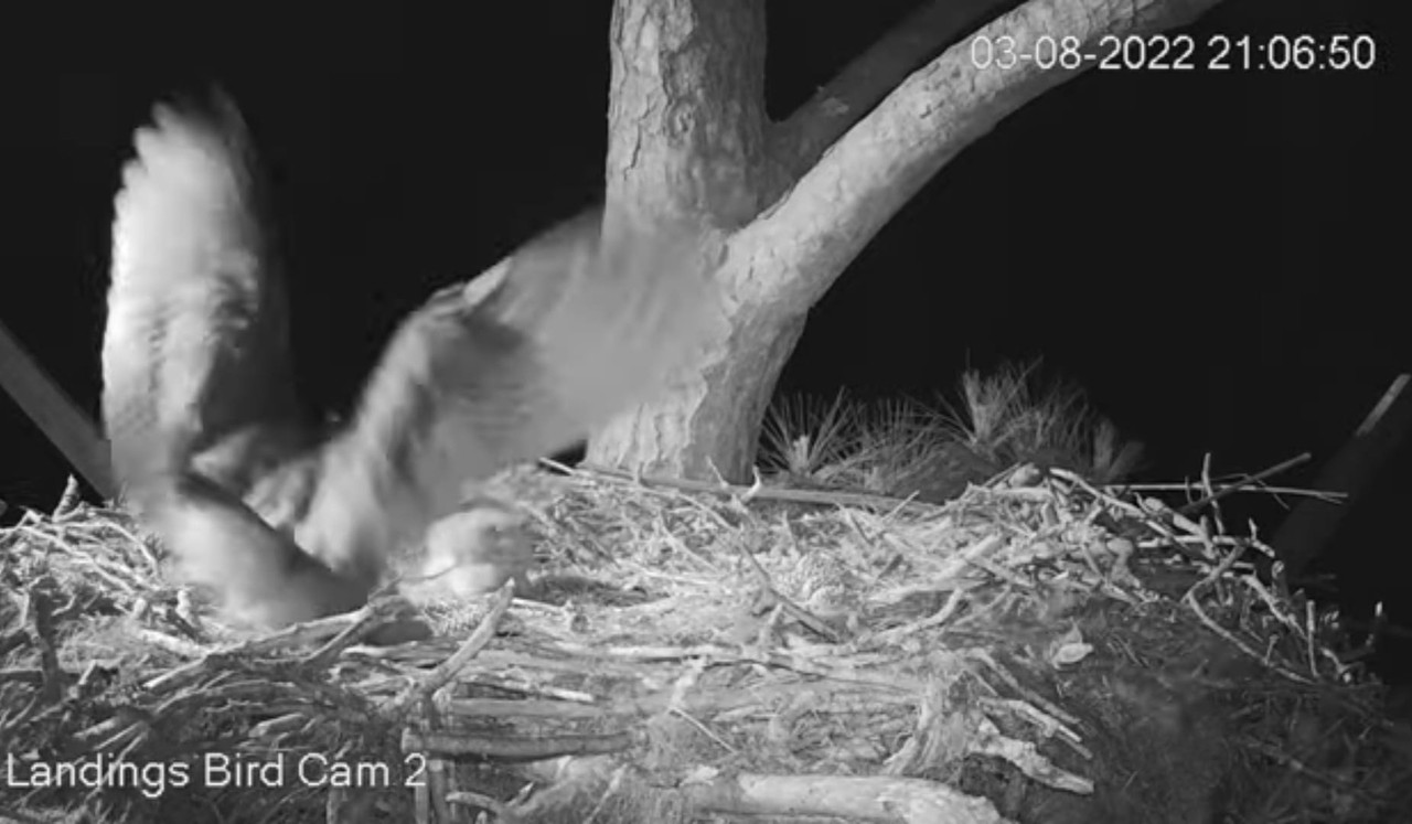 WhatsApp Image 2022-03-09 at 9.51.12 PM (1)