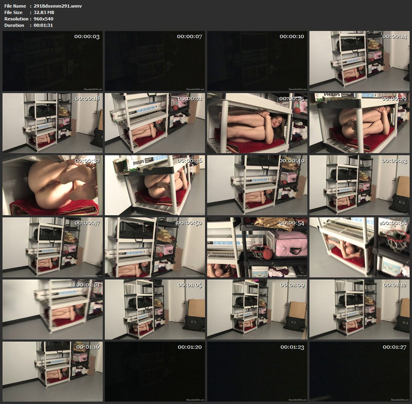 291Bdssmm291.wmv