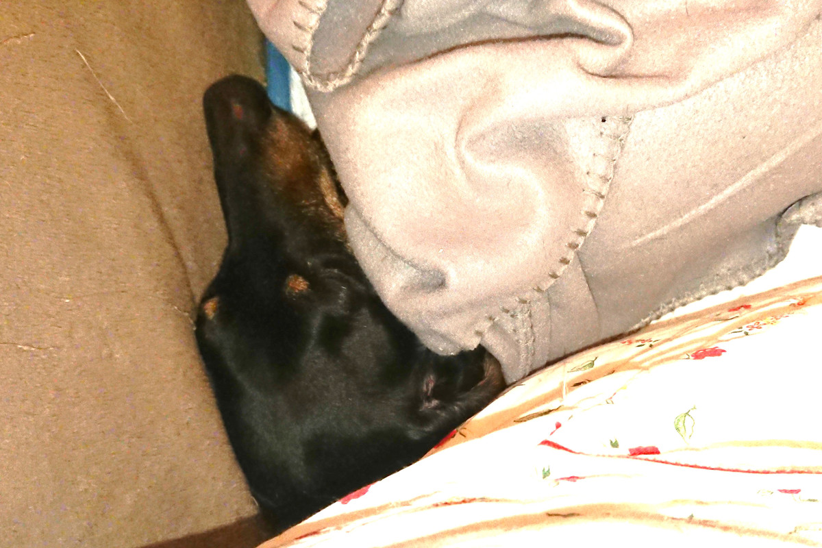 [Image: DSC-2045.jpg]