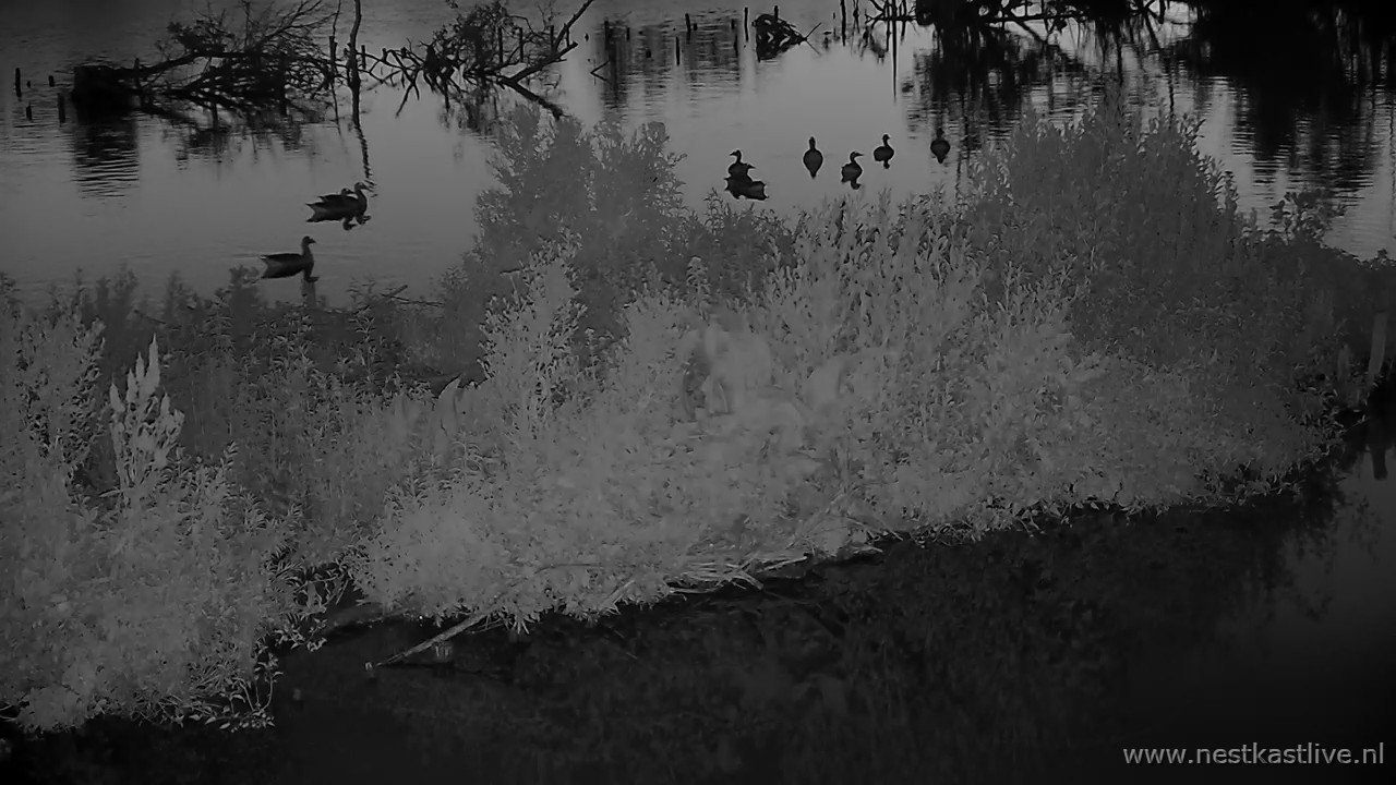 snapshot - 2025-07-03T231339.628