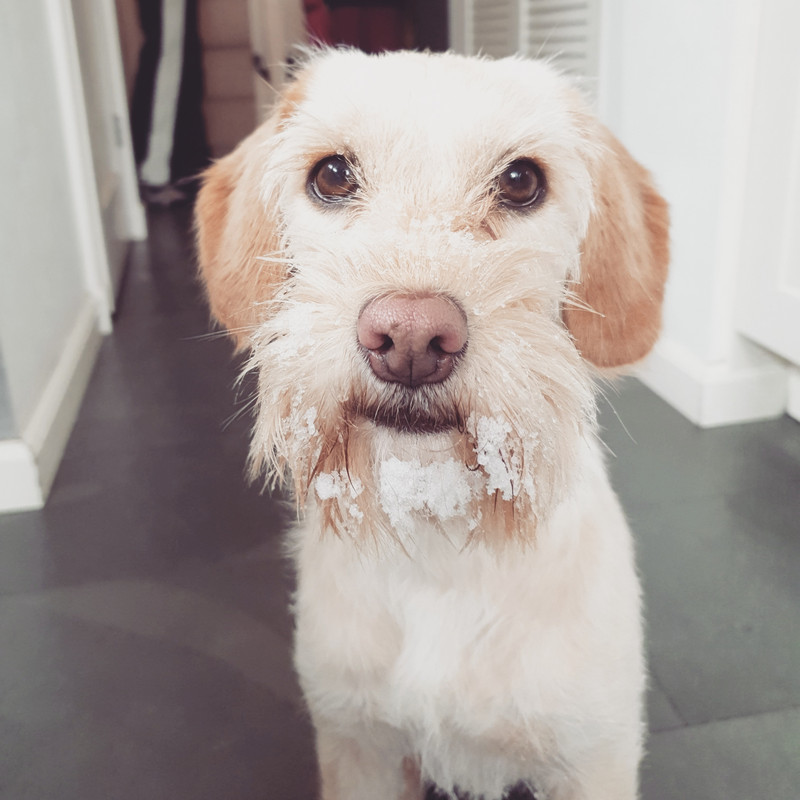 IMG_20210207_125833_084