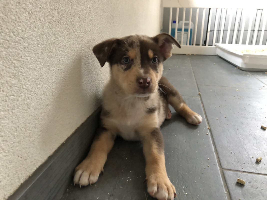 84775759-18B9-4E53-9CAD-FF5FD5A5C6CC