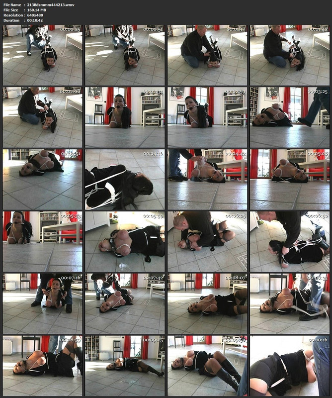 213Bdsmmm444213.wmv