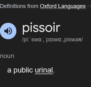 Screenshot 2025 11 11 at 09 44 19 pissoir Google Search