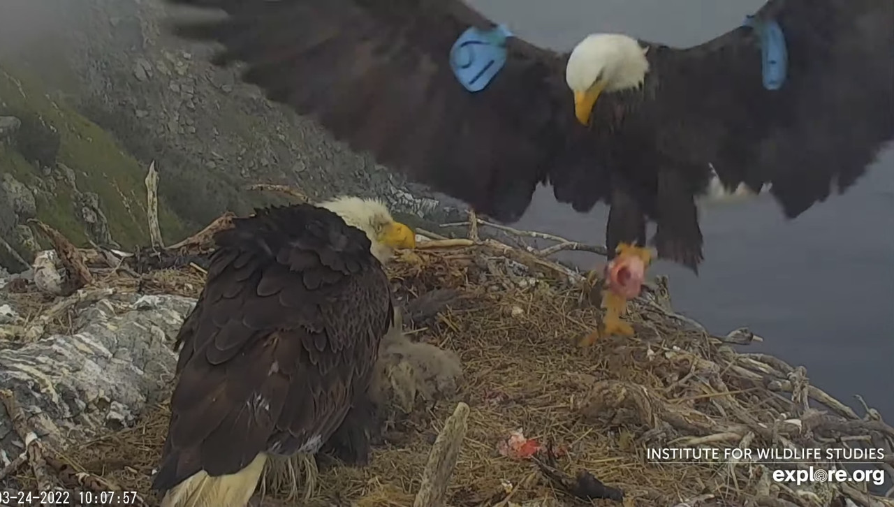 BF11021C-9AFB-426A-A2A0-2DA75BF2D649