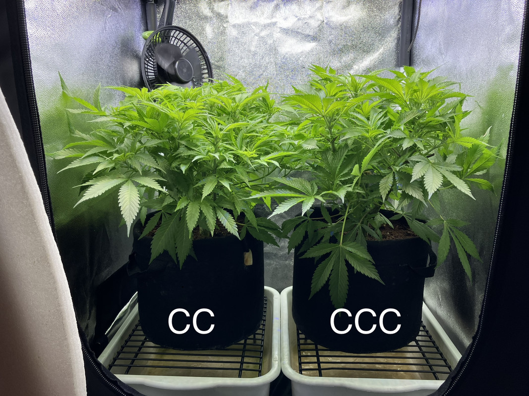 389ECD50-793D-4E8D-B7F6-52B53A6B752E