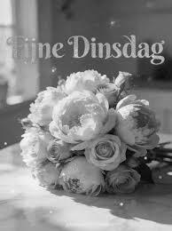 Fijne dinsdag wensen en ochtend berichten