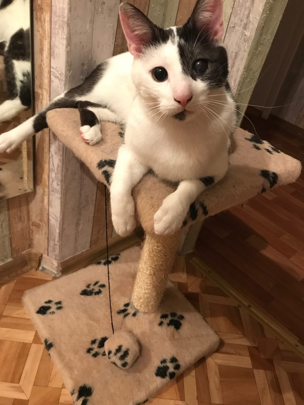 E741A268-F85A-42E4-B1E7-57CACFB67C7C