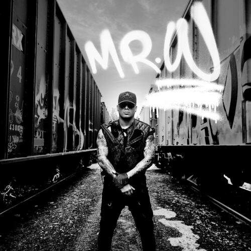 Wisin - Mr. W (2024) Mp3