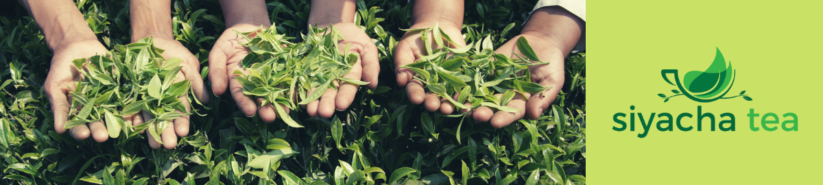 Siyacha Assam Tea Banner