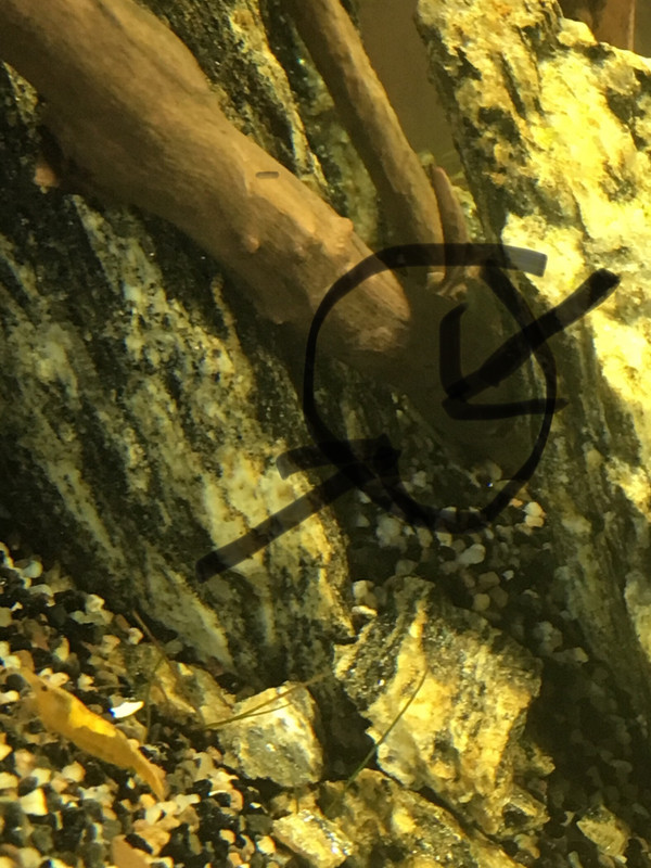 FFA3CE8E-E3CF-45DC-AE06-D8808DE548D0