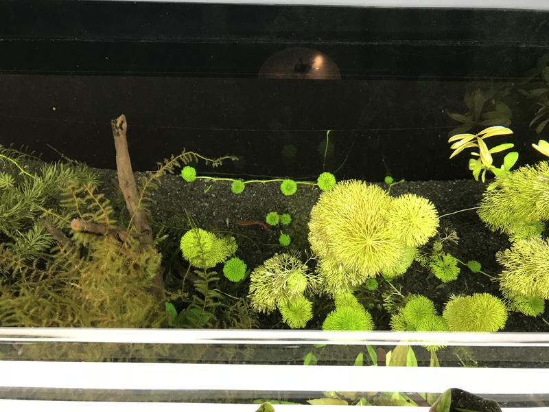 6FF72FF0-9332-4BB6-BC06-D62FFE8967D4