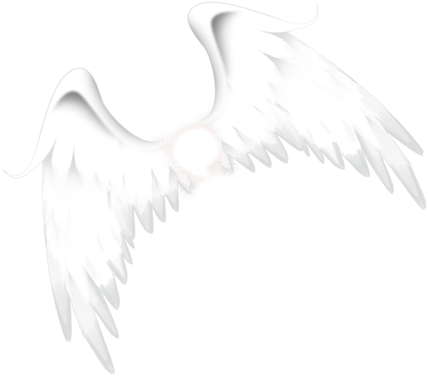 white 26