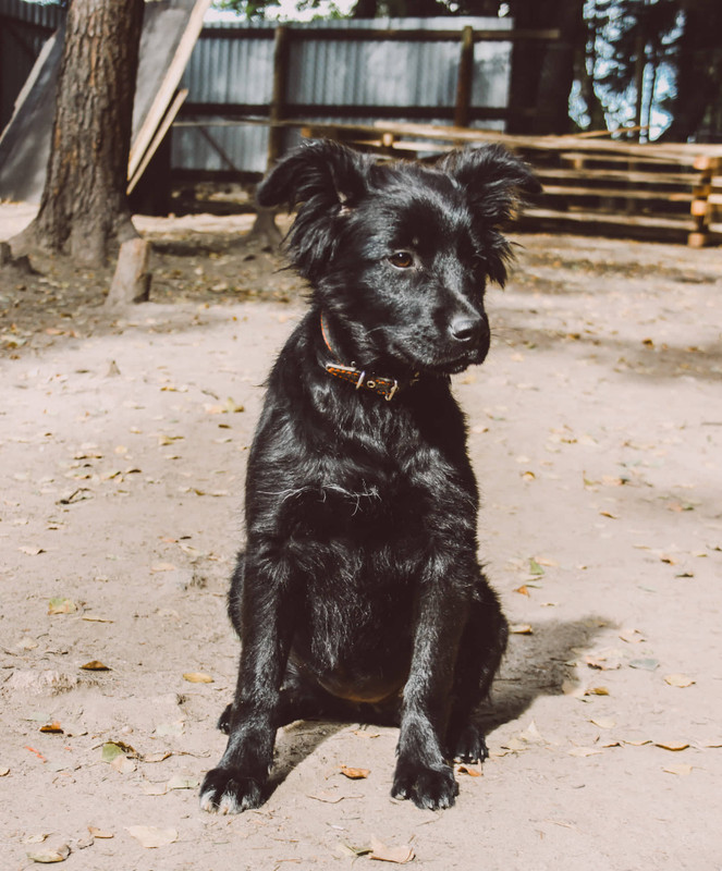 71962947_835882766806991_4010300458508746752_n