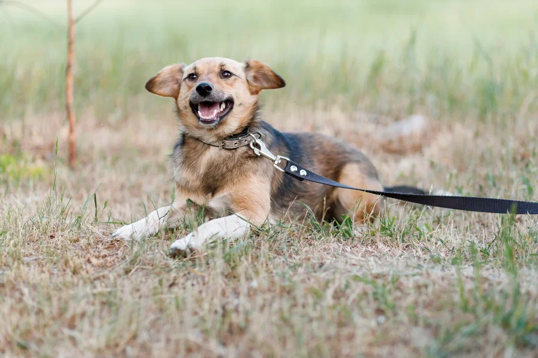 IoRycpyQp8lZmpm2CGZ0m468VpiXHPYjBVZ93ErmHrTH-UC38Ruo6V1Xzh2u1XonP0J_zRRsJd9xjW8KmlXe1Q==?uid=0&filen