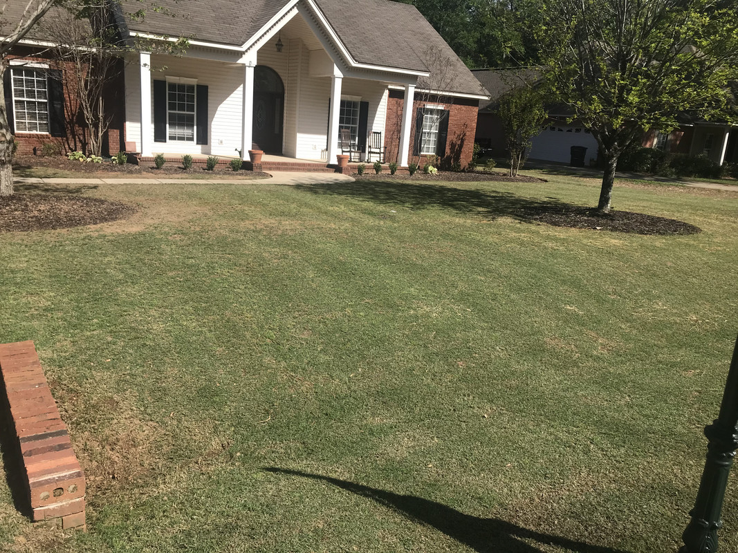 C35AFCCC-3E45-49B1-A2AE-FDAADA35F509