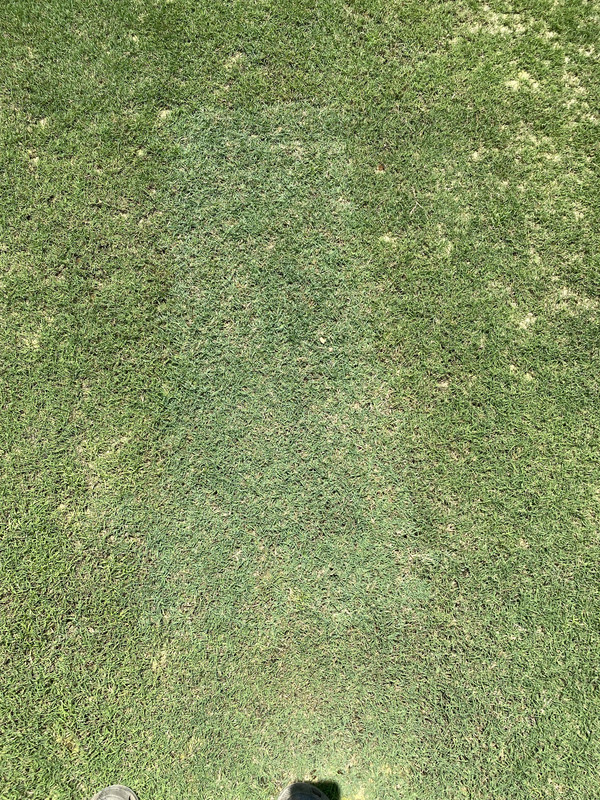 80FA29B2-1394-4EB6-BD34-36080B2603A8