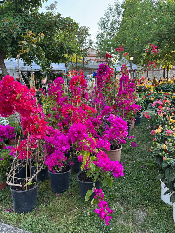 original-514B60EE-1C70-4BAE-B69F-01B8D533CA2E