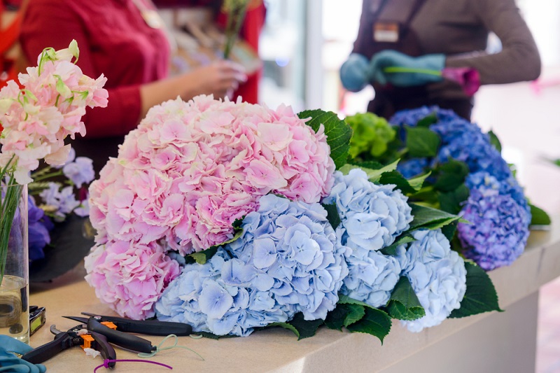 online flower delivery