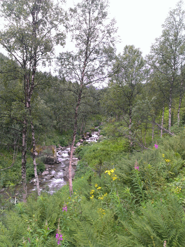 IMAG0487