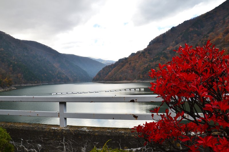 Ruta Nacional 158 Nogi Kaido-14-11-2024 - Japón y sus Pueblos-2024 (10)