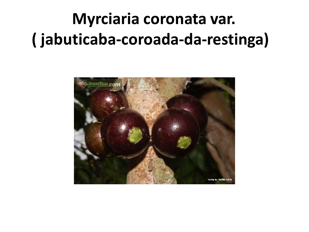 螢幕截圖 2013-12-20 10.32.30