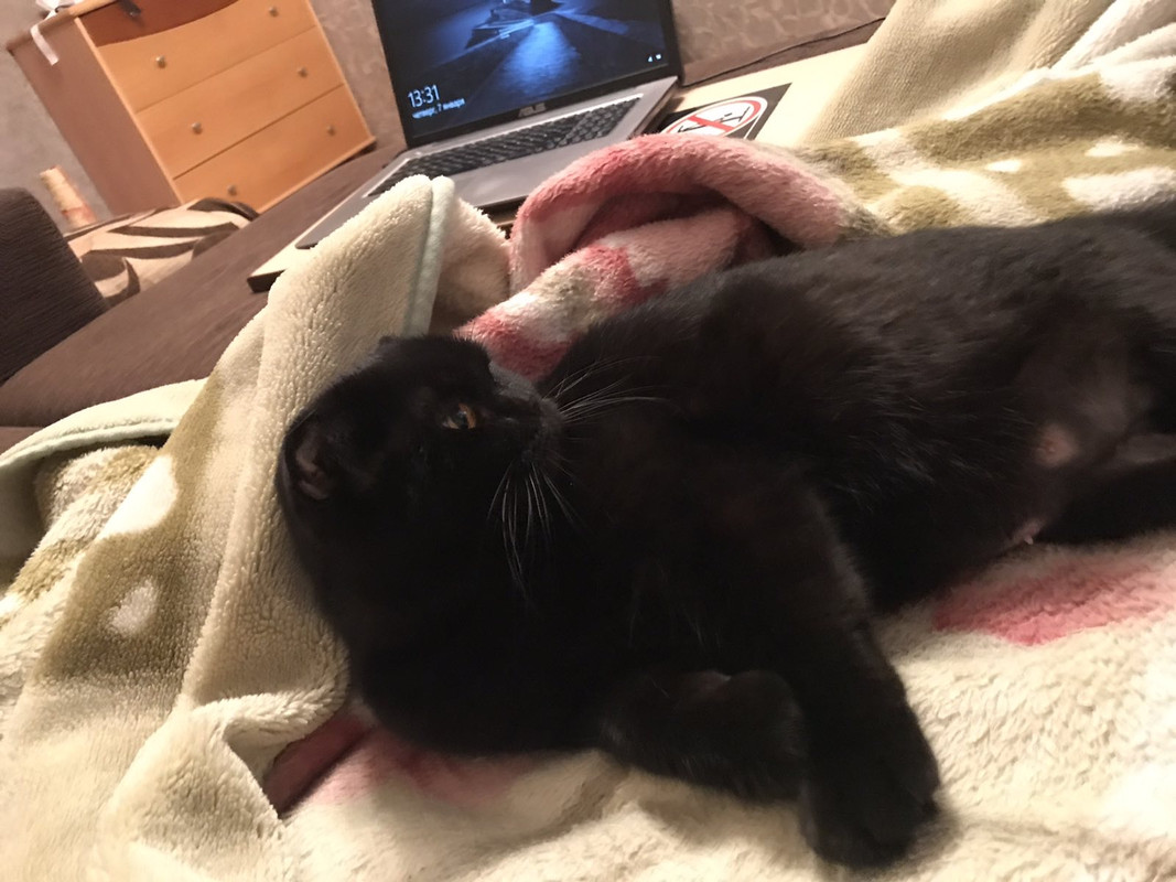 708EC474-A5BF-412E-A576-8032EC6DA67C