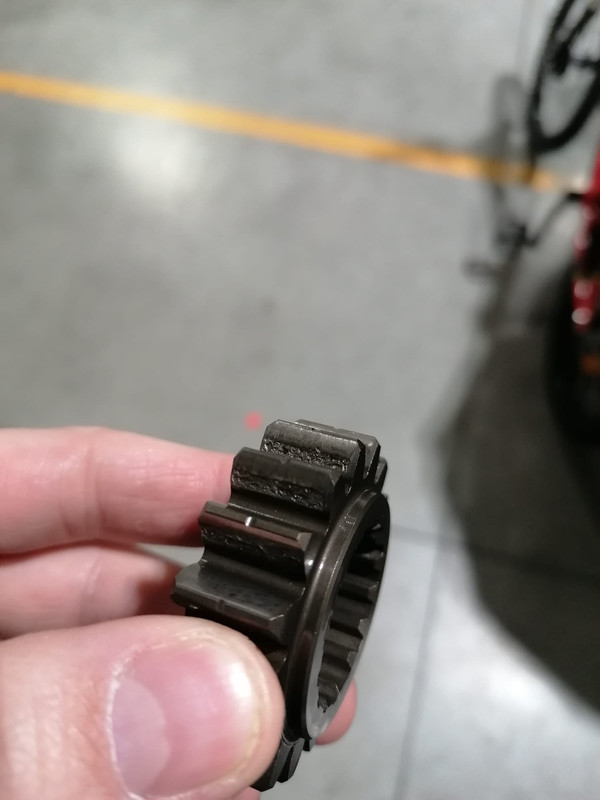 866B019D-46BA-447E-ABD5-A600CE03877A