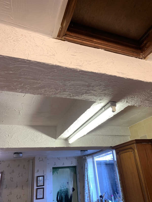 D01B95E4-4F62-460E-A2B4-FA4A1B3822C5