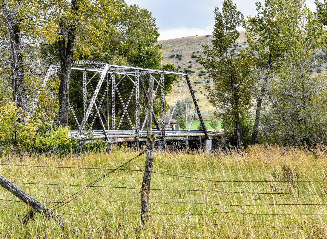 DSC_0005 (2)