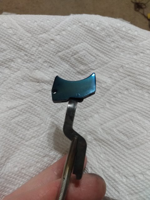 bm6.jpg