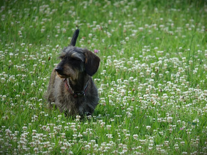 [Image: DSC00762.jpg]