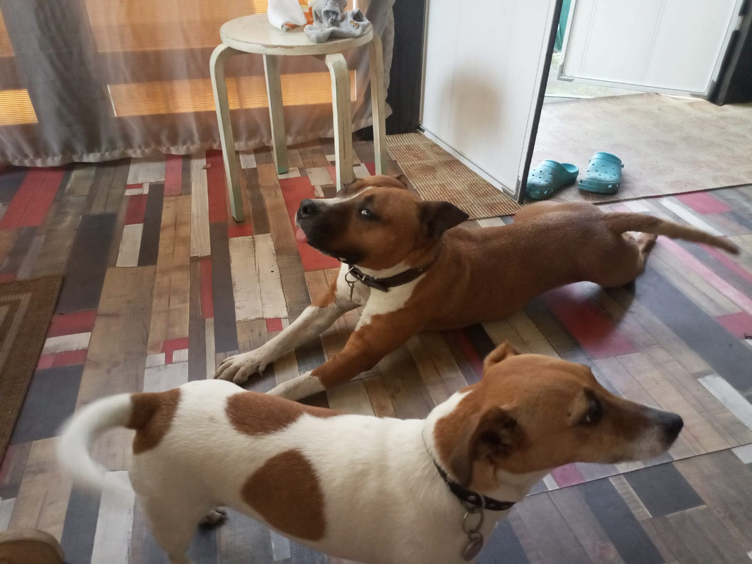 WhatsApp Image 2022-08-13 at 17.28.05 (1)