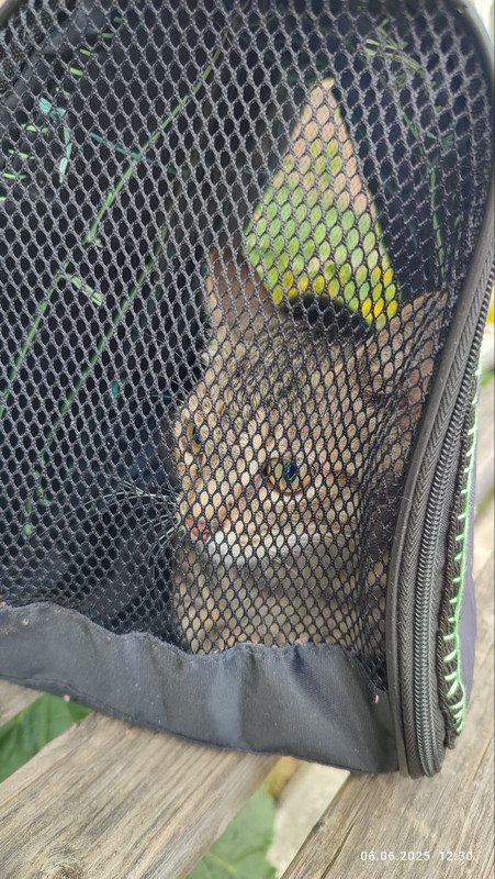 5348210641711790256 (1)