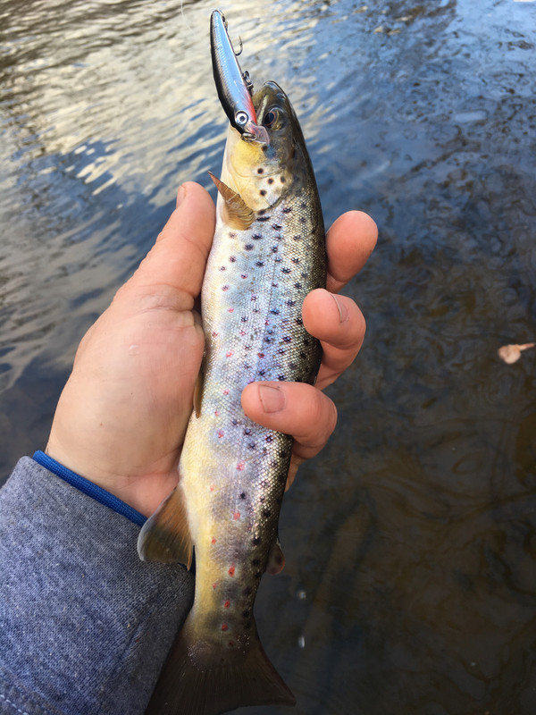 C287B4F0-0699-47E6-8E1E-DB9D0CF962B3