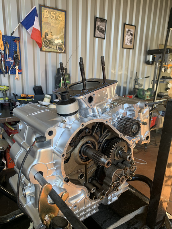 174904CC-D8E2-4569-A03F-FE77DE6E4FAD