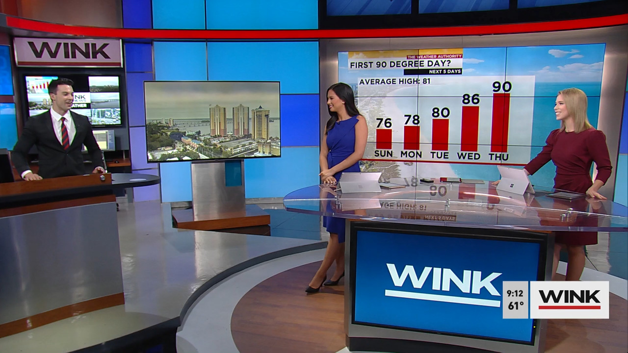 03.21 - 13.00.00 - WINK News at 9 00 a.m..ts_snapshot_00.14.41.864