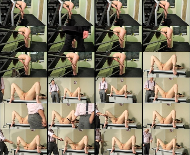 388
