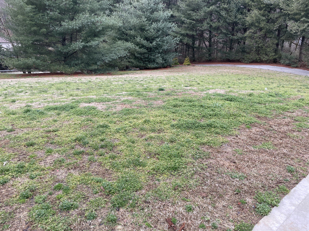 975D5F75-98F1-46D6-B2EB-72977E40289F