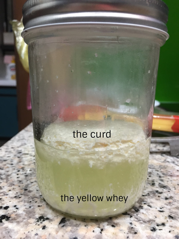curd-and-whey.jpg