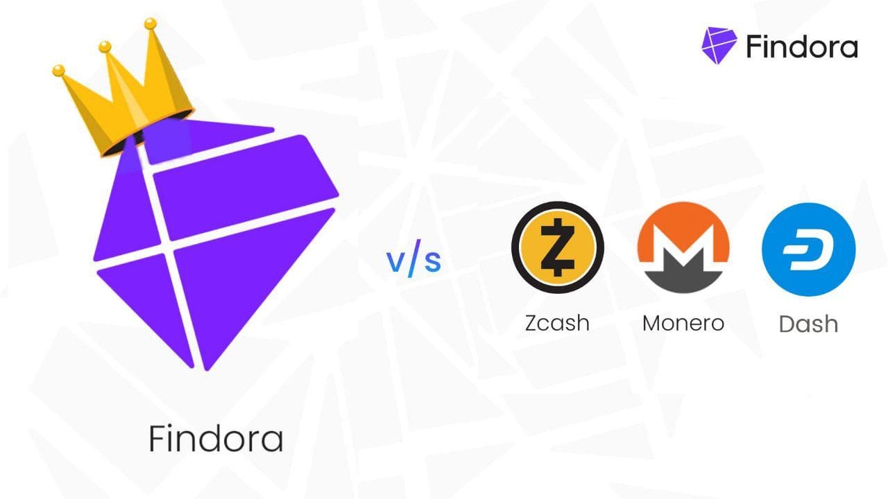 findora VS assets