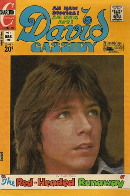 David Cassidy 11