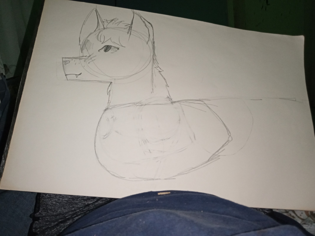 Wip — Postimages