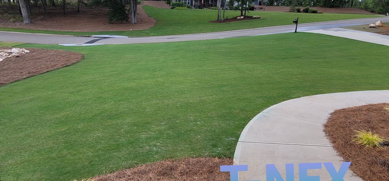 Screenshot_20210622-220202_Gallery